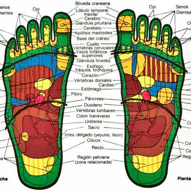 MASAJE REFLEJO PODAL - REFLEXOLOGÍA